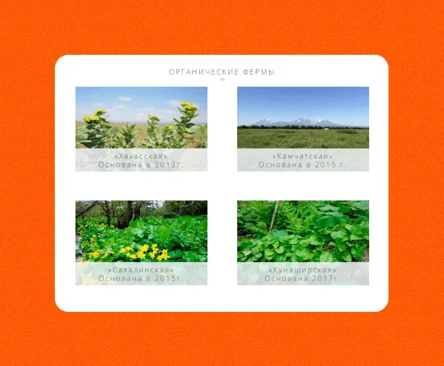 d2c это direct to consumer модель продаж